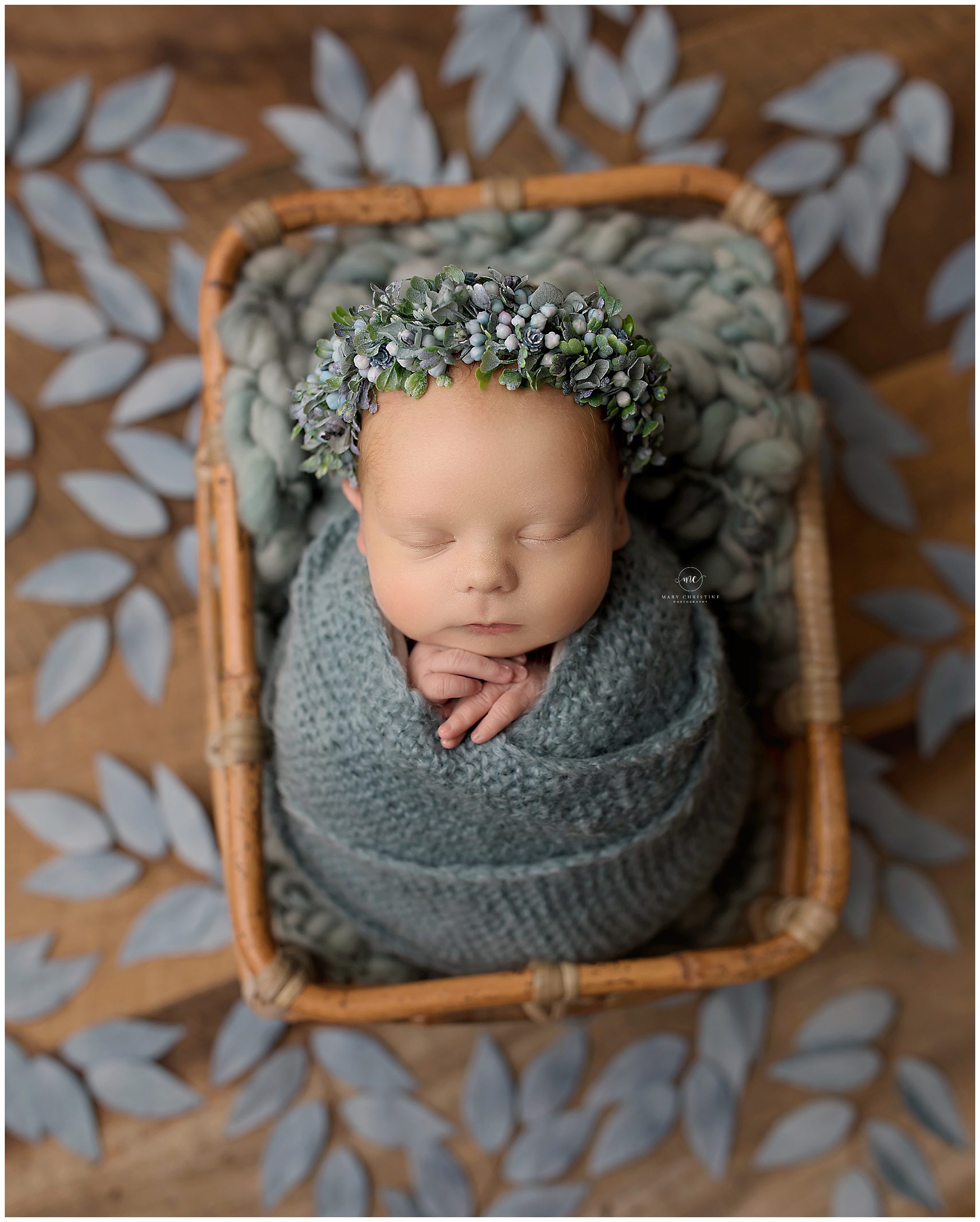 Newborn Portrait Photography | Cleveland Newborn Photographer