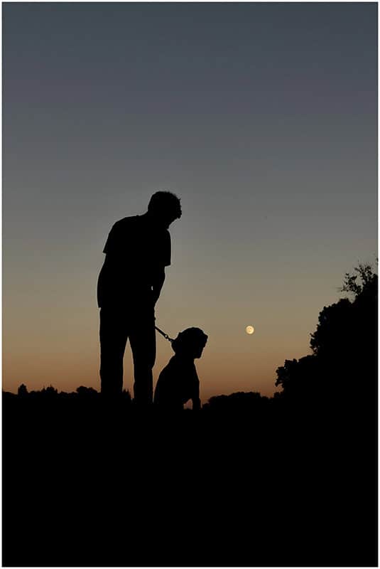 A silhouette of a boy with his dog against the sunset