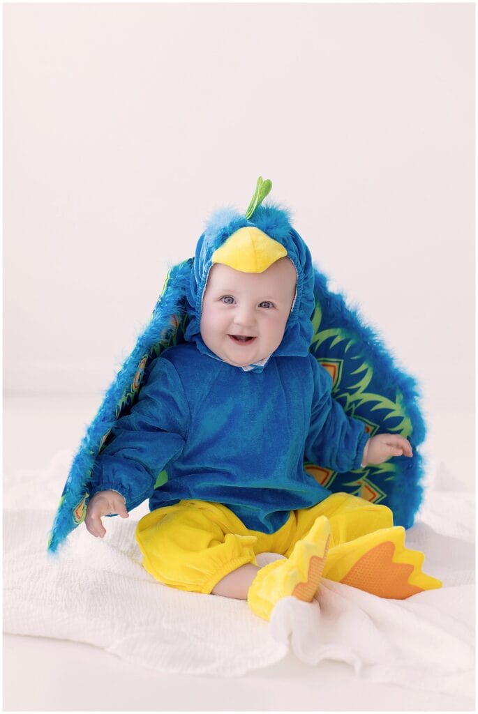 Six month old baby girl wearing a bright blue and yellow peacock Halloween costume during her milestone session.